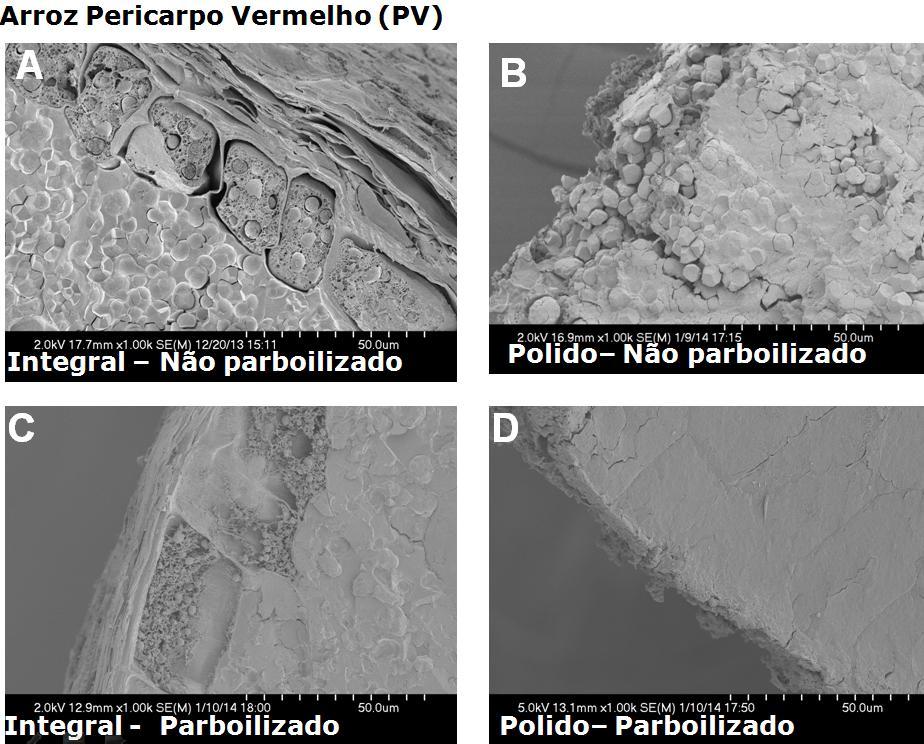 111 camadas, tenham sido lixiviados para água de encharcamento, proporcionando mais espaços vazios nessas camadas.