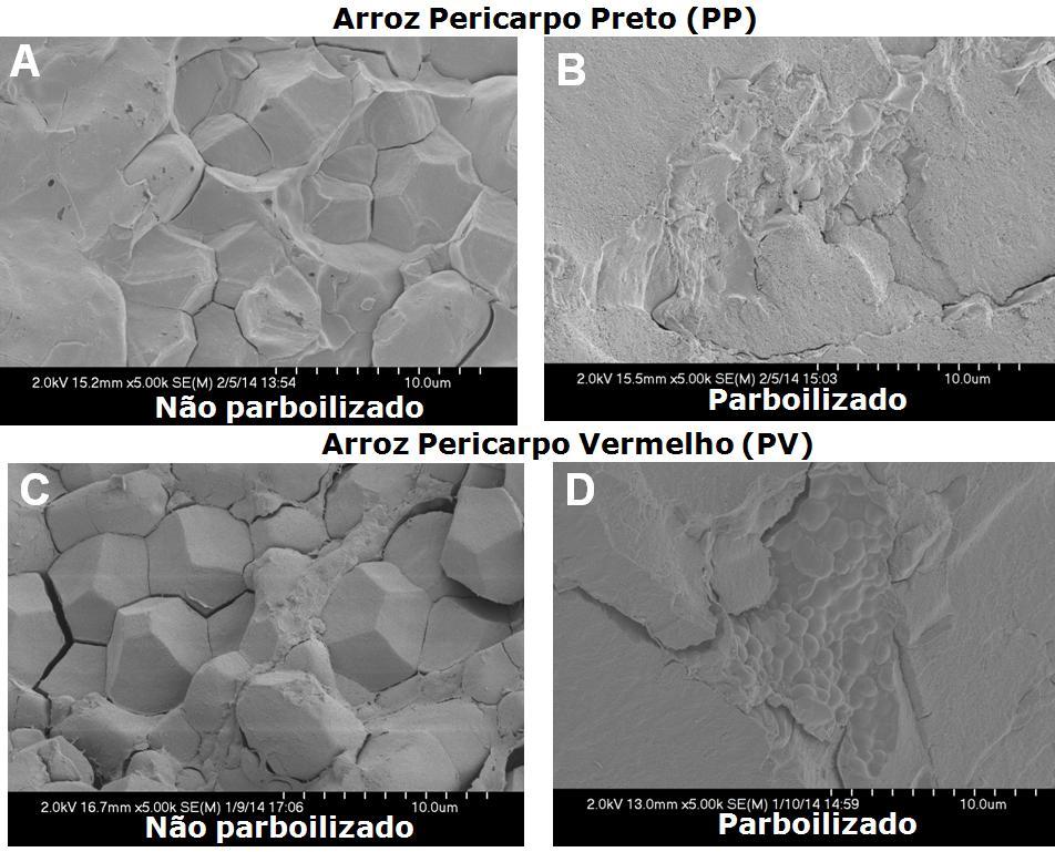 112 Ao contrário do verificado nos grãos de arroz PP, após a parboilização do arroz PV houve uma compactação no endosperma desse grão, sendo eliminados os espaços anteriormente existentes (Figuras