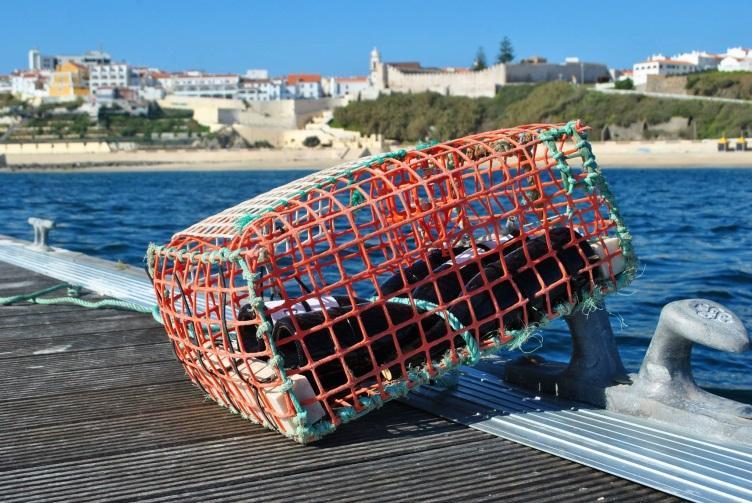 garrafas de vinho; Amostras de