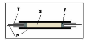 Figura 6 - Diagrama esquemático de uma minicoluna, onde: T é o tubo de Tygon e P é o tubo de politetrafluoretileno (PTFE) usados como conexões, S é o material adsorvente, F é o filtro.