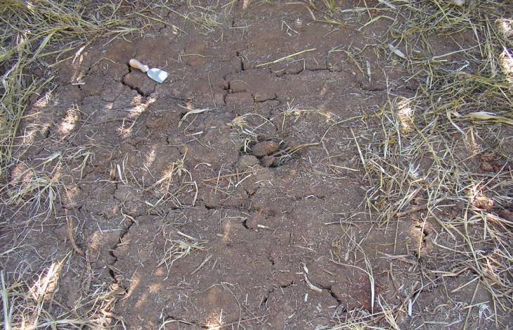 A figura 18 ilustra como um solo com CTC da argila maior que 27cmol/kg ou Ta, que quando seca apresenta rachaduras relativamente largas e profundas, ao contrário dos solos de atividade baixa.