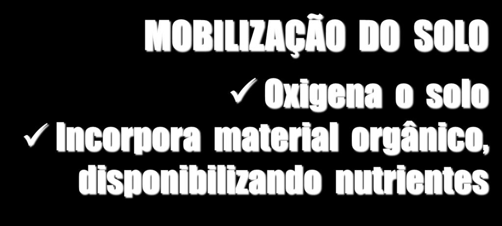 PROCESSO BIOLÓGICO MOBILIZAÇÃO DO SOLO