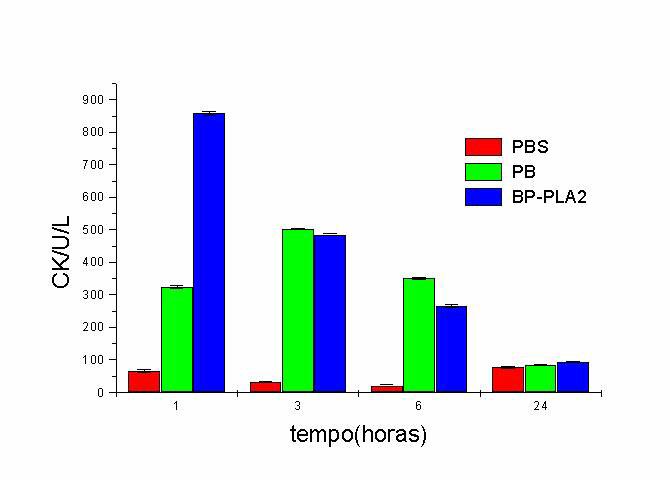 7.9.5) Atividade Miotóxica (CK) Atividade miotóxica foi realizada por dosagem dos níveis de creatina quinase no plasma de animais inoculados com 50µg da peçonha bruta ou BP-PLA 2.