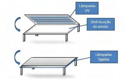 (2000), Leonel et al. (2004), Garcia e Leonel (2005),