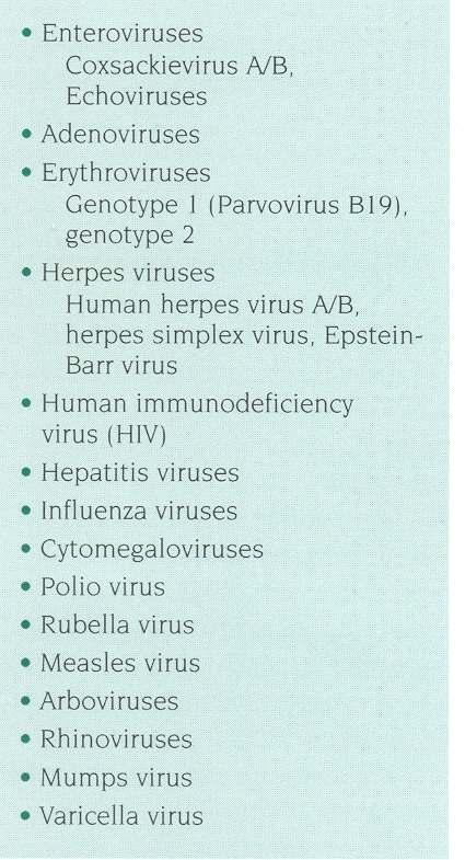 Adenovirus 5- Virus Epstein Barr 6- Virus Hepatite C Kuhl et al.