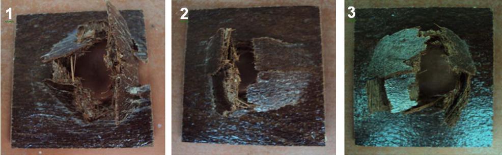 Força (N) 17 Quadro 6 Imagens das fraturas de cada corpo de prova do Material 1 após