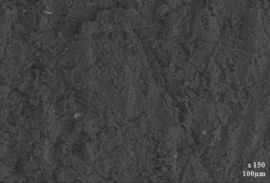Nas Figuras 128C e 128D já é possível observar em maior detalhe a superfície irregular, a presença de sulcos causados pelos grânulos da lixa abrasiva (setas