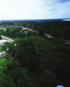 Ambiente de inovação sustentável na Amazônia O Parque de Ciência e Tecnologia Guamá (PCT Guamá) tem o papel de contribuir com um novo modelo de desenvolvimento para o estado do Pará, baseado na