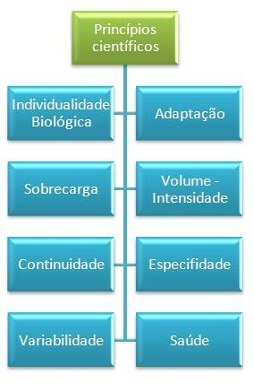 Treinamento É um processo que favorece alterações positivas de um estado, que pode ser físico, motor, cognitivo, afetivo.