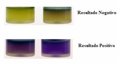 A alteração da cor do indicador de ph (púrpura de bromocresol),indica uma amostra livre de antimicrobianos.