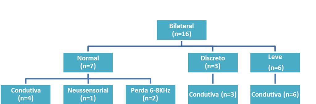 Figura 4 - Descrição dos IRDA das crianças que apresentaram perda auditiva bilateral no estudo,