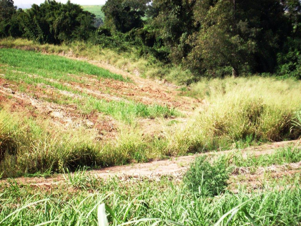 construídas (chácaras, ranchos, sítios, entre outros).