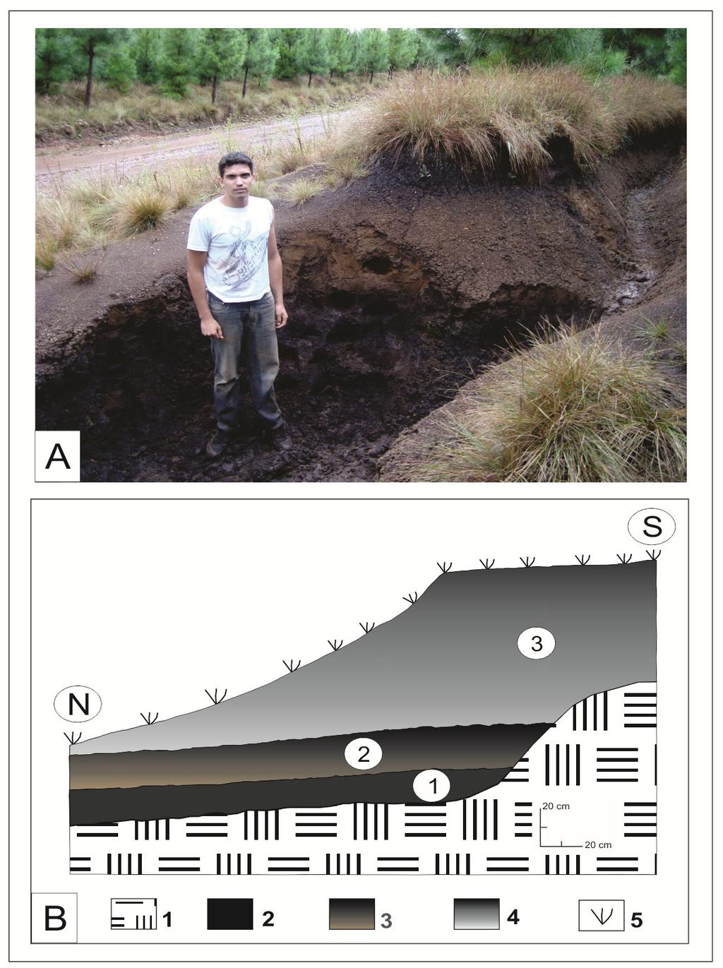 Figura 12 - Seção estratigráfica HS3. (A) Foto da seção localizada em uma voçoroca. (B) Representação esquemática da seção estratigráfica. 1: riolito.