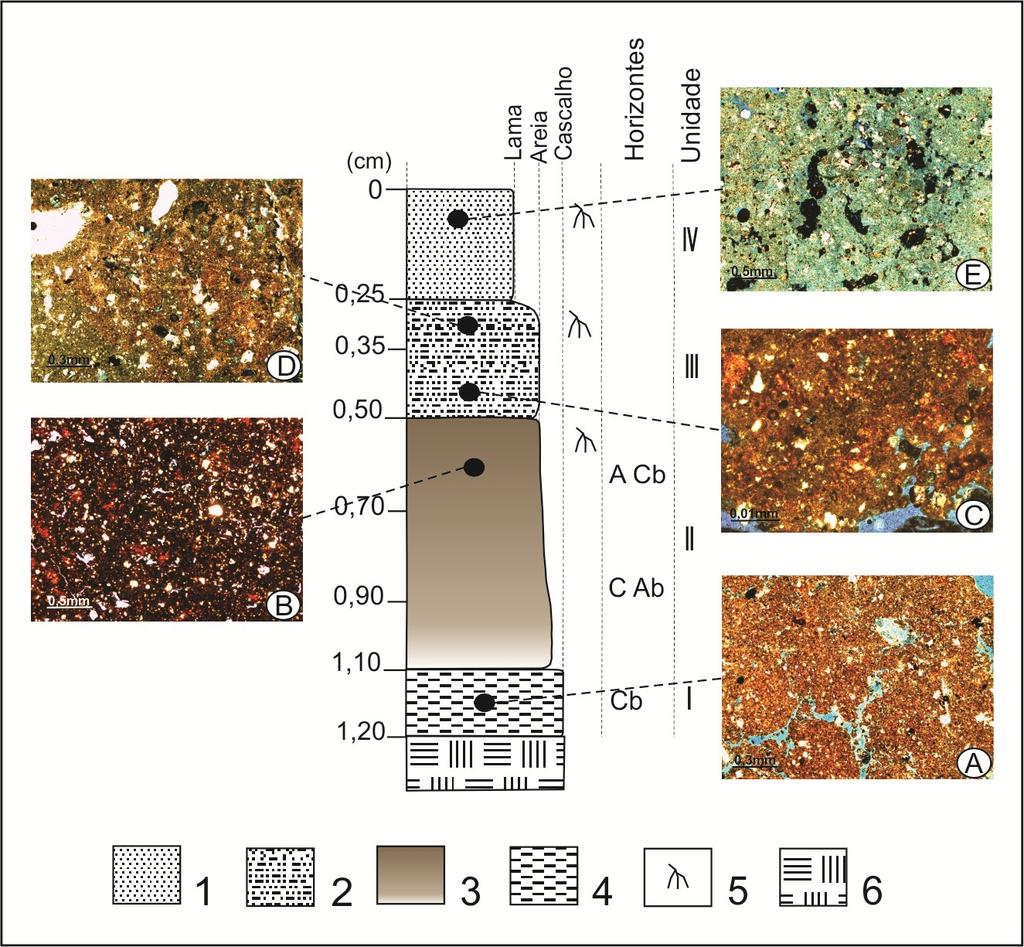 Figura 29 - Imagens das lâminas da seção HS5. 1: lama. 2: lama arenosa. 3:colúvio pedogenizado. 4: alterita. 5: raízes. 6: riolito: A: plasma. B: plasma com impregnação de MO.