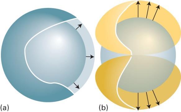 Quando um elétron s se torna um elétron 2s há uma migração esférica de carga. Não há momento de dipolo associado com essa migração de carga (w n = ).