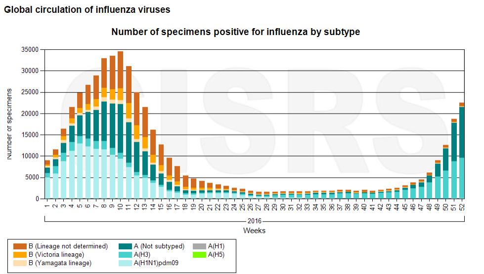 32 Figura 6: Circulação global de influenza vírus, por número de