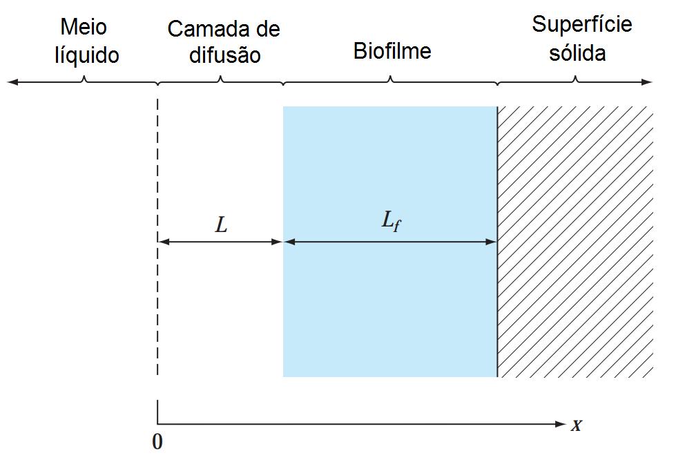 03 ) Um biolme com espessura L f cresce sobre uma superfície sólida, como indicado na gura a seguir.
