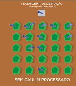 GREENING CAULIM PROCESSADO PROTEGE AS BORDAS PRODUTO REDUZ ENTRADA DO PSILÍDEO NOS POMARES PULVERIZAÇÃO COM CAULIM PROCESSADO REDUZIU EXPERIMENTO COM SIMULAÇÃO DA MIGRAÇÃO DE CAULIM PROCESSADO