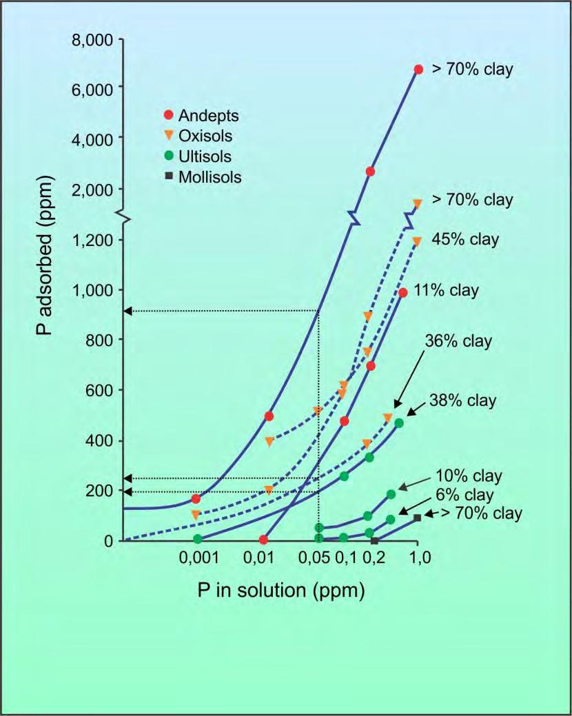 A ligação de fosfato através de uma ligação Al-O resulta em P lábil, no entanto, a ligação através de