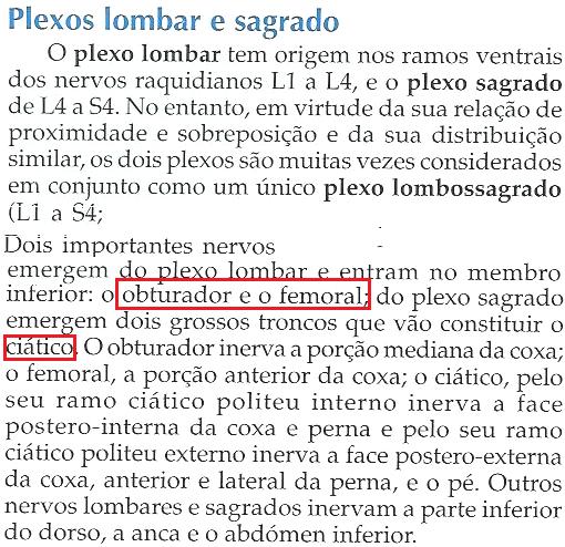 Plexo Lombar e