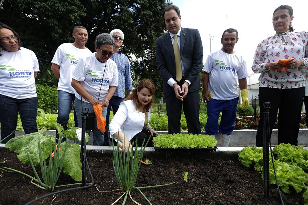 Nova unidade do Horta em Todo Canto é inaugurada no IPA 12 de junho de 2018, às 15h18min Agricultura A iniciativa, que integra a conscientização ambiental com a segurança alimentar e nutricional, já