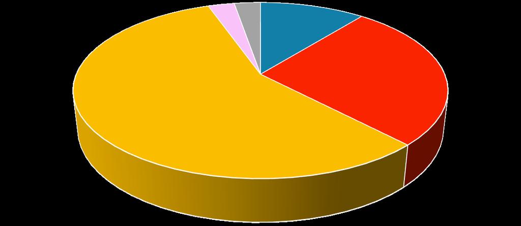 Caracterização Docentes Categoria Profissional 2 2