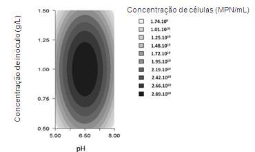 Tabela 1: Estudo da concentração de lactose, ph e tamanho do inóculo Ensaio X1 (g/l) X2 X3 (g/l) MPN/mL 1-1 (20) -1 (5,0) -1 (0,5) (9,2 ± 2,0) 10 7 2-1 (20) -1 (5,0) +1 (1,5) (5,2 ± 2,3) 10 8 3-1