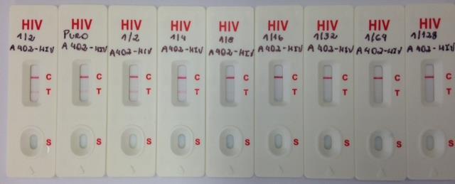 Figura 3: Caracterização da amostra de plasma reagente para HIV com o kit TR