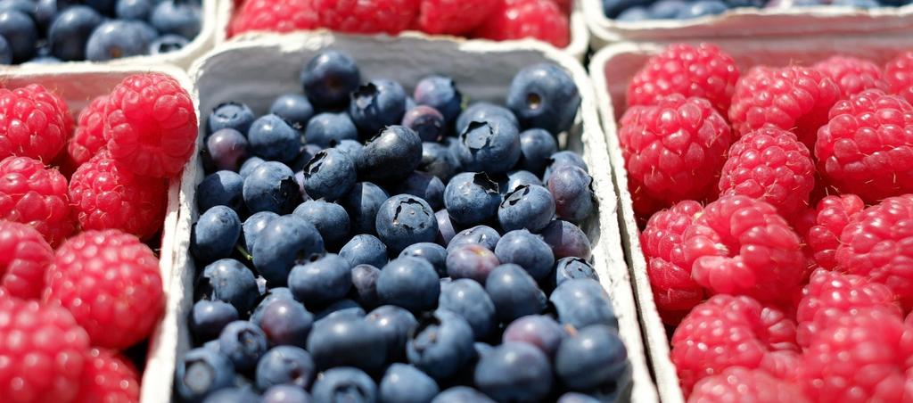 03. Seminário Produção de Pequenos Frutos em Portugal: Pedro Brás de Oliveira; UALG Fonte: INIAV IP Vai ter lugar já no próximo dia 23, o primeiro de uma série de seminários de Hortofruticultura,