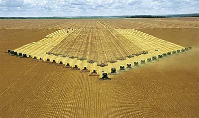 NÃO SÃO AS GRANDES COORPORAÇÕES QUE AFIRMAM QUE OS PEQUENOS AGRICULTORES/AGRICULTORES FAMILIARES/CAMPONESES SÃO