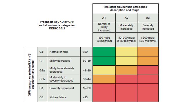 albuminúria e da creatinina sérica, para cálculo da TFG, mesmo quando assintomáticos.