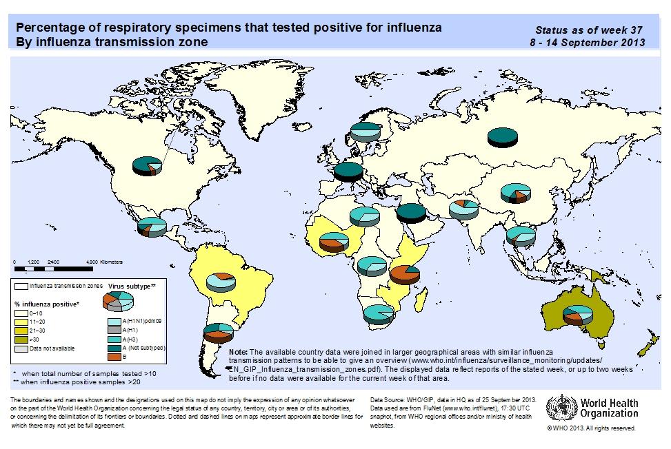 Figura 1. Distribuição percentual de amostras respiratórias positivas para o vírus influenza por zona de transmissão. Situação da Semana Epidemiológica 37/2013. Fonte:http://www.who.