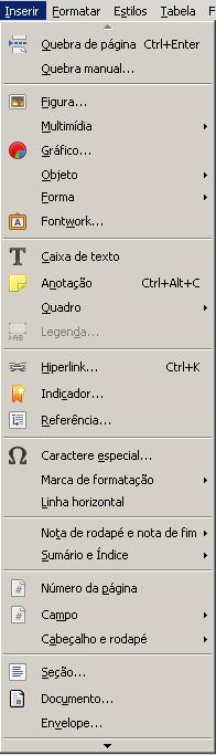 Menu Inserir Este menu permite inserir diversos elementos diferentes em um