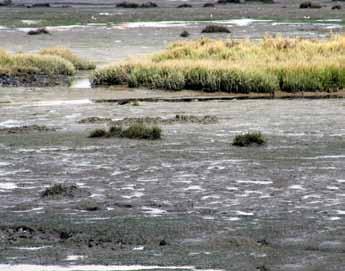 incluindo lagoas, tanques e biodigestores.