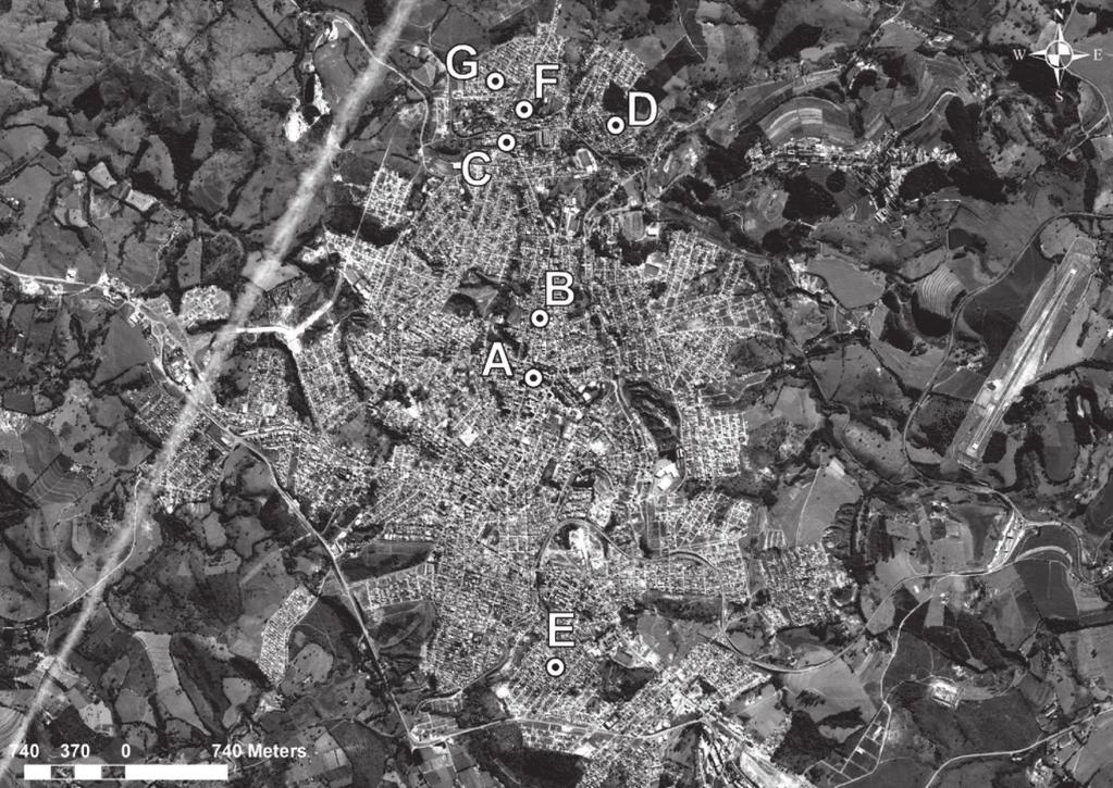 Avifauna em praças da cidade de Lavras (MG): riqueza, similaridade e influência de variáveis do ambiente urbano 27 avifauna (D Angelo-Neto et al. 1998, Ribon 2000, Vasconcelos et al.