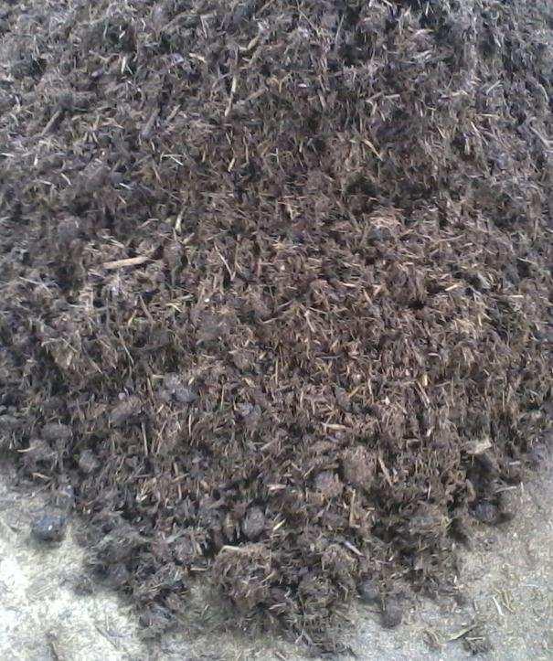 A B FIGURA 12. Formação de aglomerados granulares na mistura de cama de frango com bagaço de cana-de-açúcar (A) ou palha de café (B), depois de ter sido submetido ao processo de compostagem.