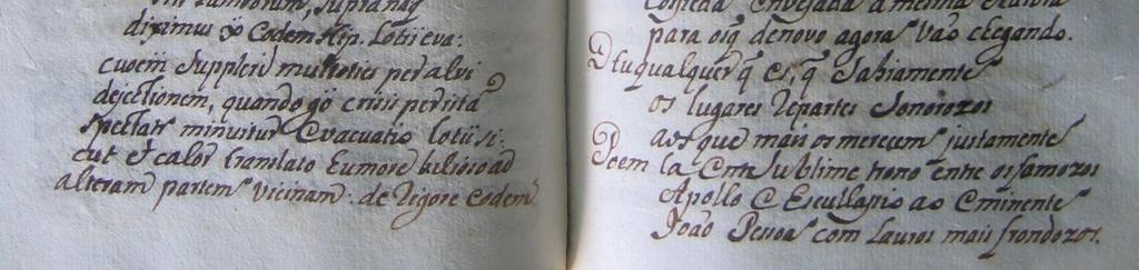 É também em latim, todo o manuscrito, aparecendo na página 153 e 154 um soneto em Português em louvor do eminente