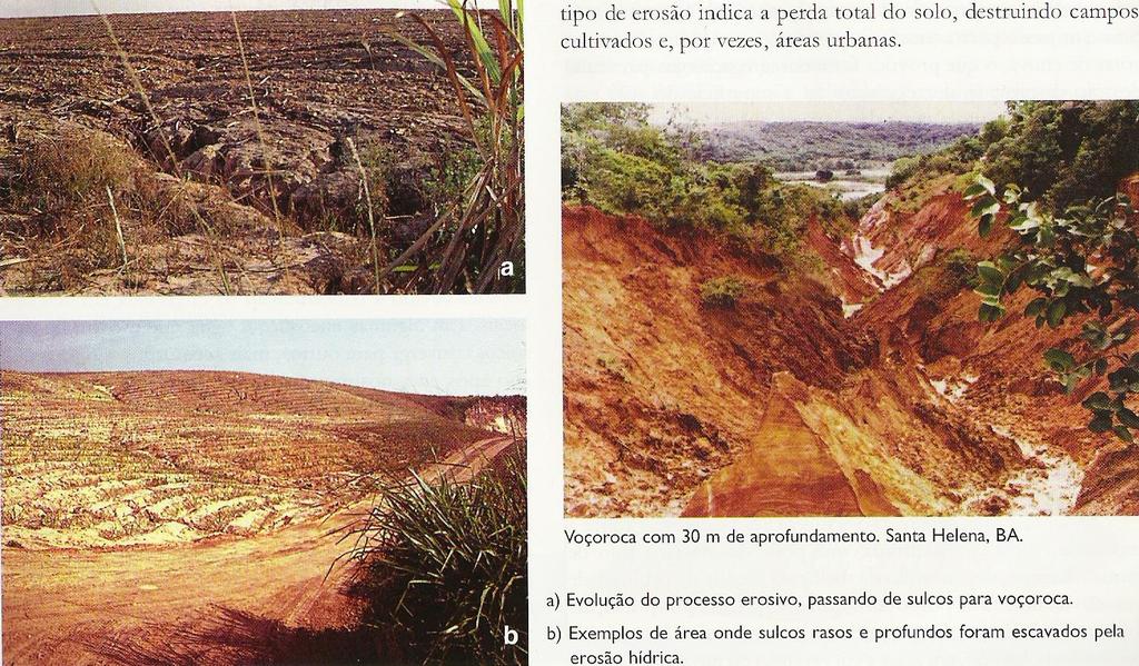 Erosão em sulcos - causada por concentração das linhas de fluxo das águas de escoamento superficial,