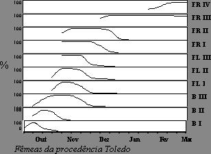 Porcentagem de indivíduos das procedências de Soledade e Toledo nas