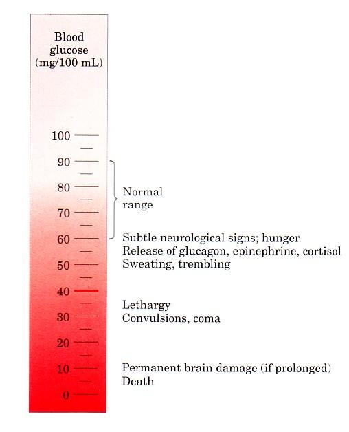 REGULAÇÃO HORMONAL DO METABOLISMO Glicose