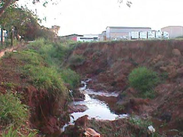 Foto 6: Sinais de retomada erosiva transversal e longitudinal, a montante da canalização do Ribeirão Tijuco