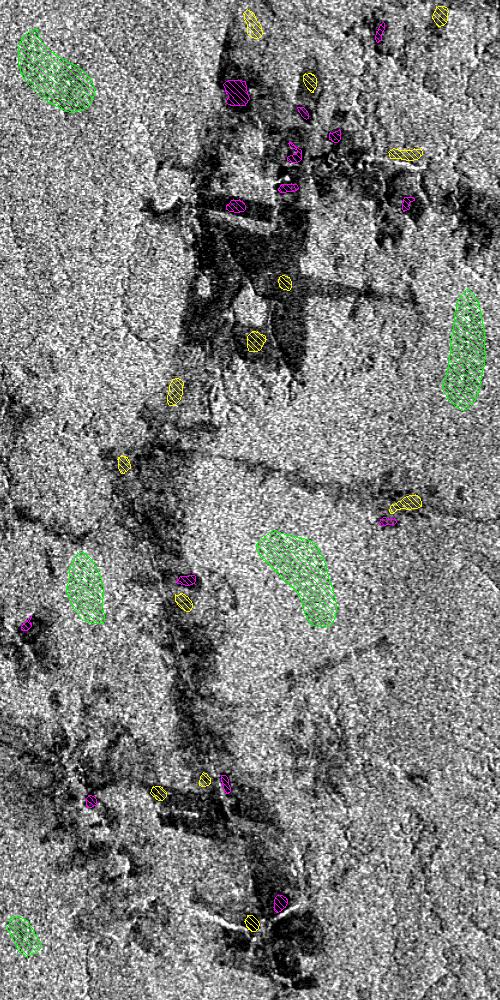 Fgura 3. Imagens JERS e TM (bandas 543/RGB), mostrando as amostras de cada classe de uso do solo: floresta prmára (verde), regeneração (amarelo) e atvdades recentes (magenta).