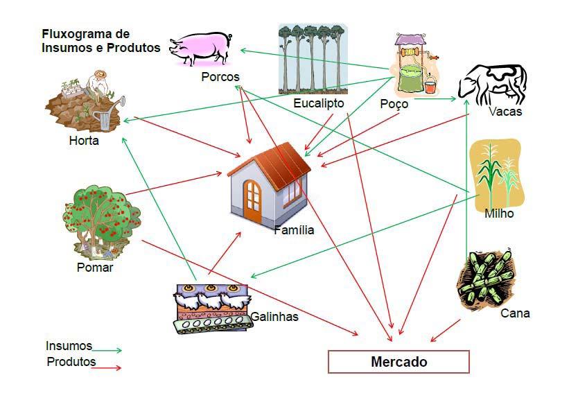 Figura 2. Fluxograma de Insumos e Produtos, Assentamento Monte Alegre, Motuca-SP, 2012. Fonte: dados da pesquisa.