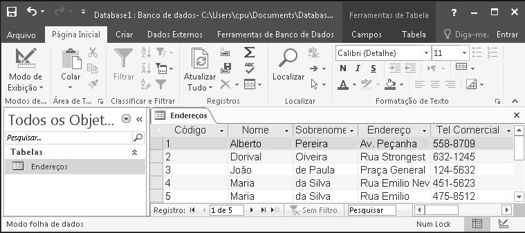 Ainda utilizando o mouse na parte inferior da janela do Modo Folha de Dados, juntamente com a barra de rolagem horizontal, você poderá se