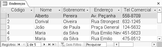 Pesquisar registros na tabela Verificar filtros nos registros Inclui novo registro em branco Move para o último registro Move para o próximo