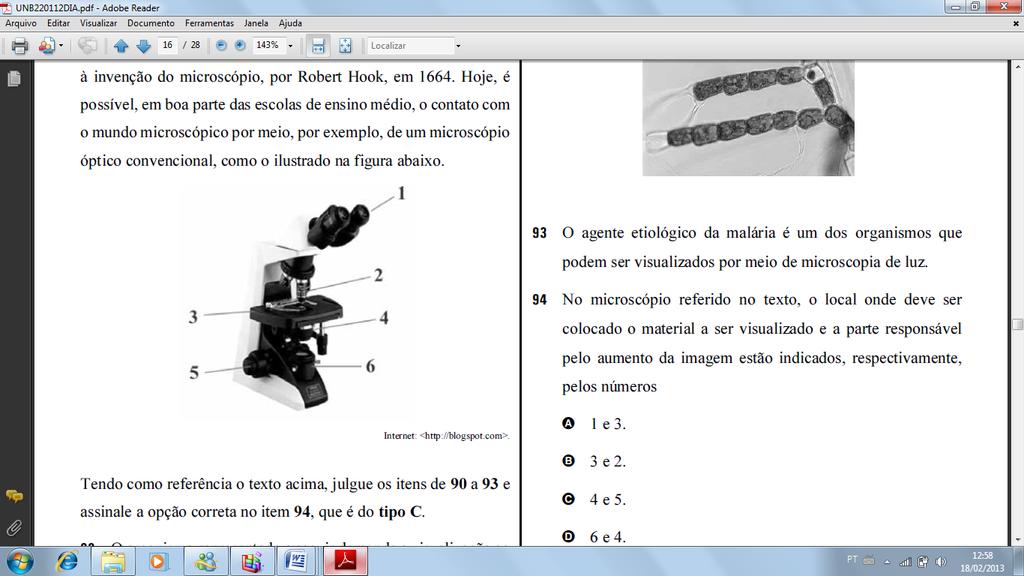 A invenção da microscopia de luz modificou a forma de ver o mundo.