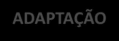 Conceito de ADAPTAÇÃO ás Cargas É uma reacção Estrutural e Funcional do organismo a um determinado esforço, treino, exercício.