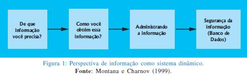 A importância da informação e da comunicação no ambiente da tomada de decisão De acordo com Moresi (2000), a arquitetura de informação de uma empresa está estruturada de forma institucional,