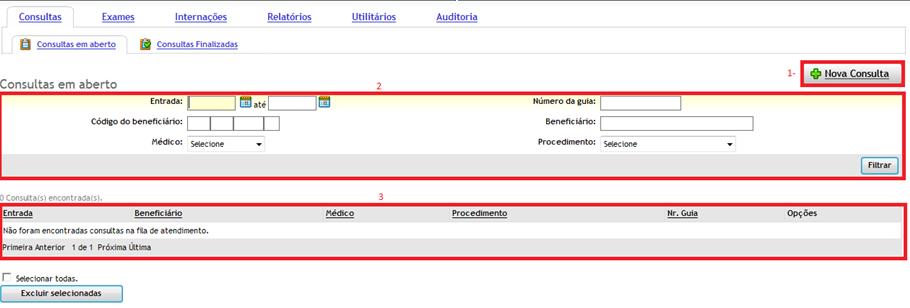 Consultas em Aberto Quadro 1 - é possível criar uma nova consulta, realizar um novo atendimento; Quadro 2 - filtrar consultas em aberto e lista de consultas