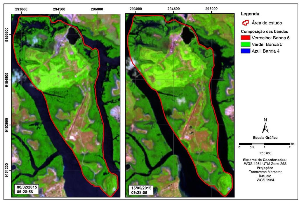 Figura 2 - Imagens LANDSAT 8 falsa cor,